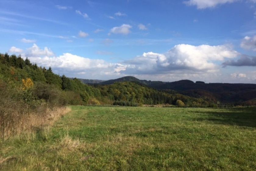 Ferienhaus am Trapp