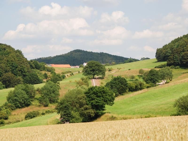 Ferienhaus Bergparadies Diemelsee