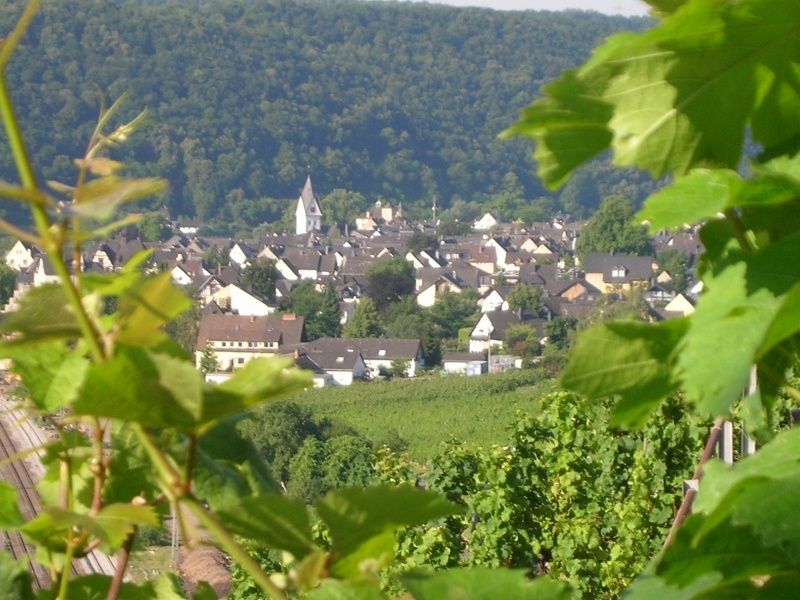 Weingut & Gästezimmer Sturm