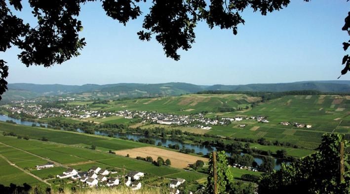 Weingut und Gästehaus Erz