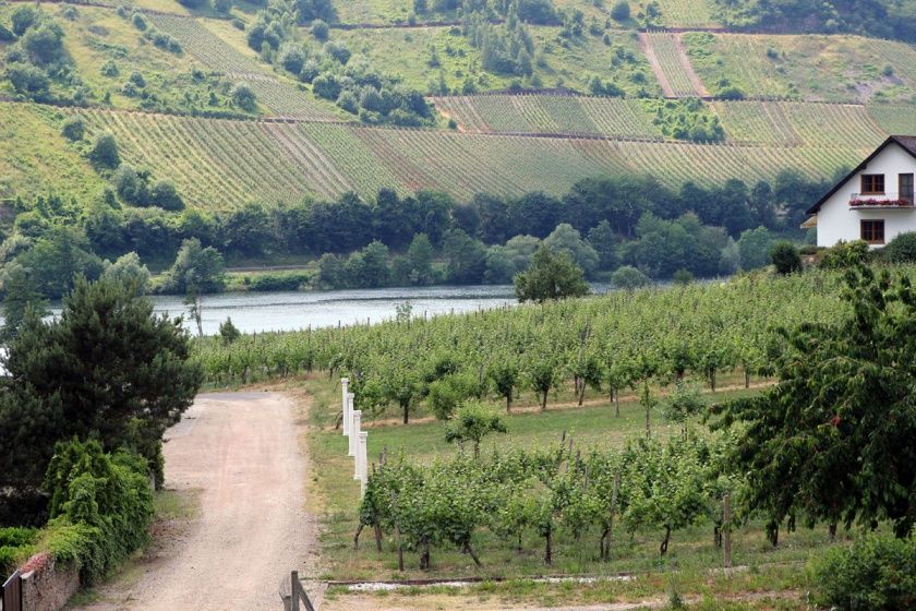 Weingut und Ferienwohnungen Ferres