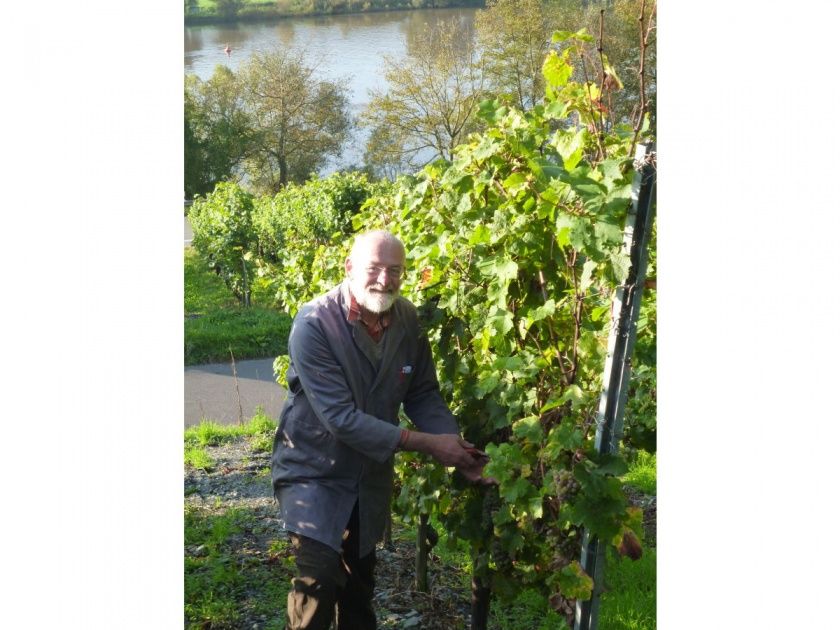 Ferienwohnung Weingut Pauly