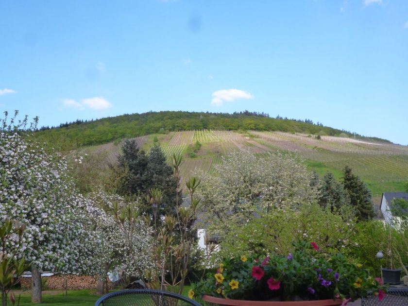 Ferienwohnung Weingut Pauly