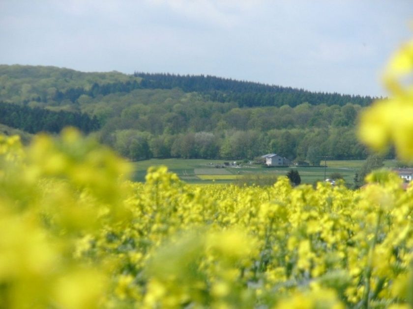 Ferienwohnung Sonnenblick Wetzlar