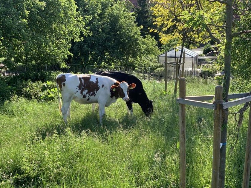 Ferienwohnungen auf dem Schöneberger Bauernhof