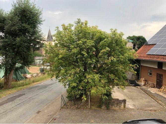 Ferienhaus Wiesenfeld/Burgwald