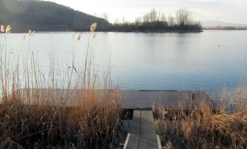 Werratalsee Naturcamp Meinhard