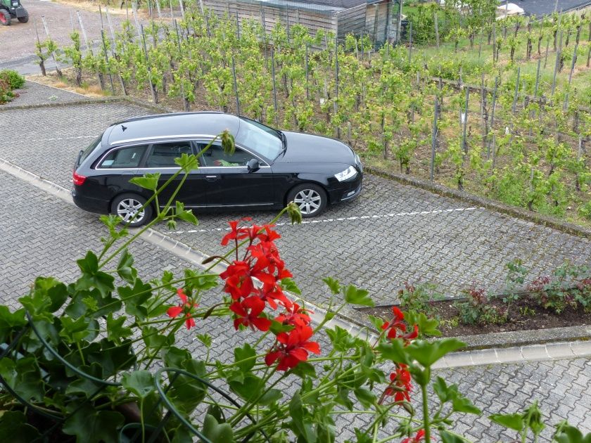 Wein- und Gästehaus Elmar Ebert-Neukirch - An einer der schönsten Moselschleifen