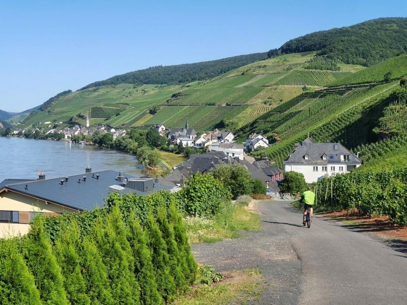 Herrliche Lage in den Weinbergen