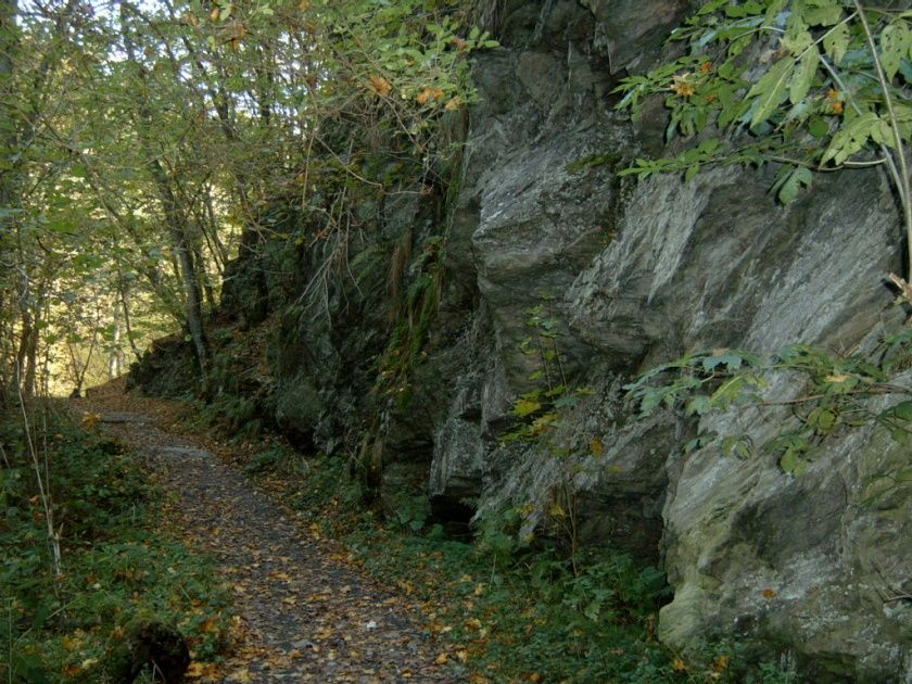 Traumschleife Baybachtal