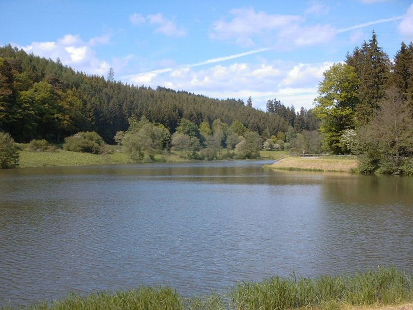 Ferienhaus Omas Häuschen - Urlaub mit Hund in der Eifel