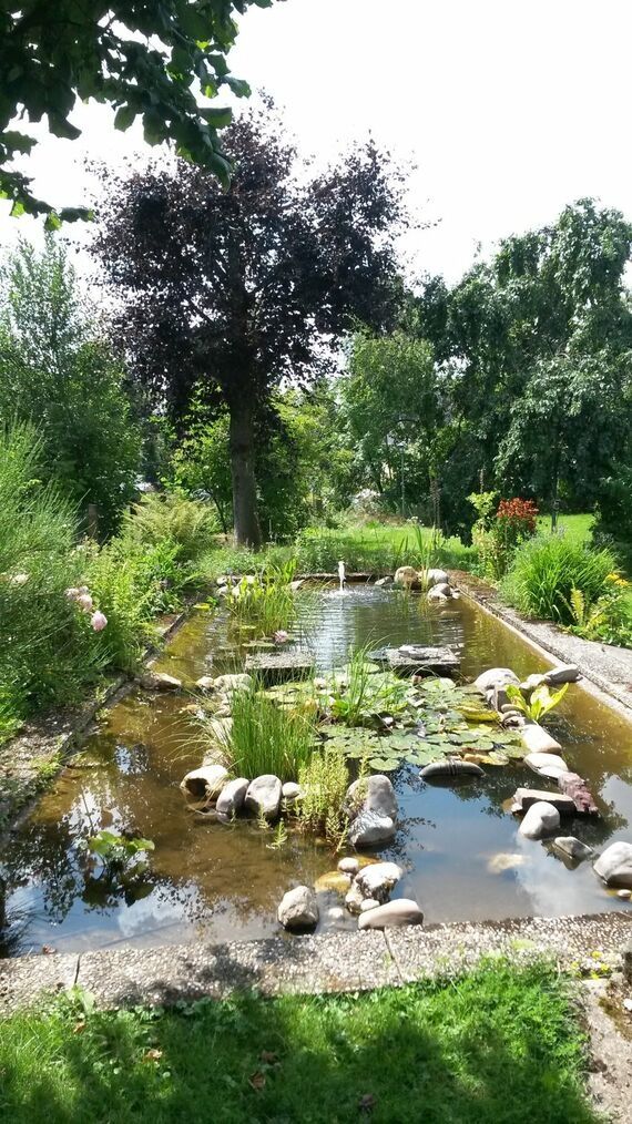 Ferienwohnungen am Brunnen