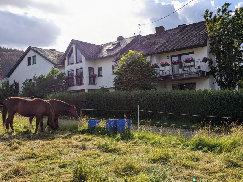 Große Ferienwohnung 2 Cuvee für bis zu 6 im Weingut Harald Ludwig