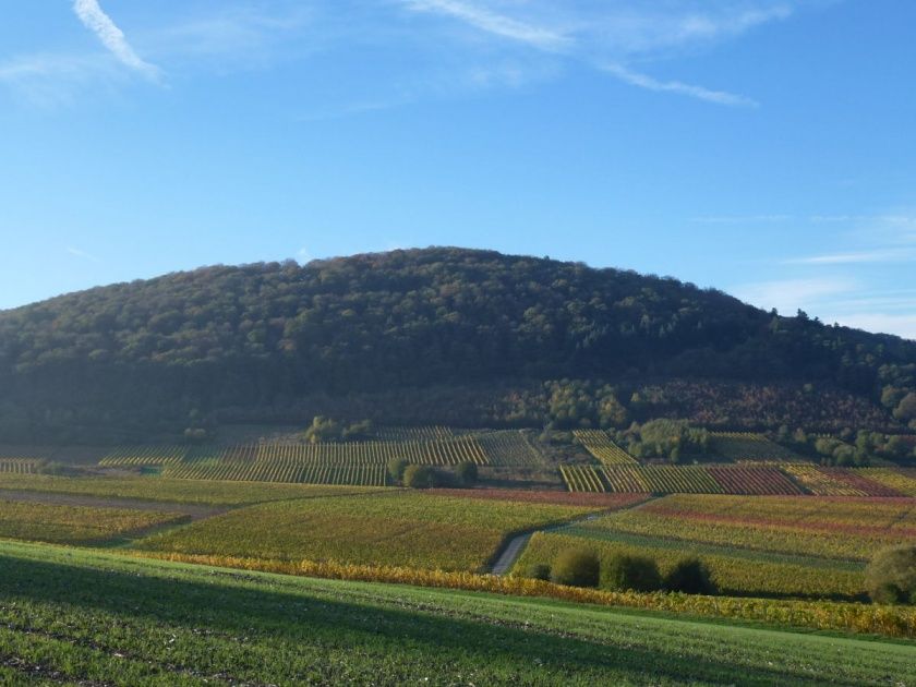 Große Ferienwohnung 2 Cuvee für bis zu 6 im Weingut Harald Ludwig