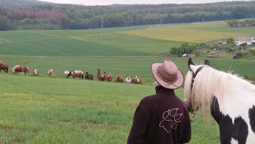 Reit- und Fahrstall Ponyhof Ludwig