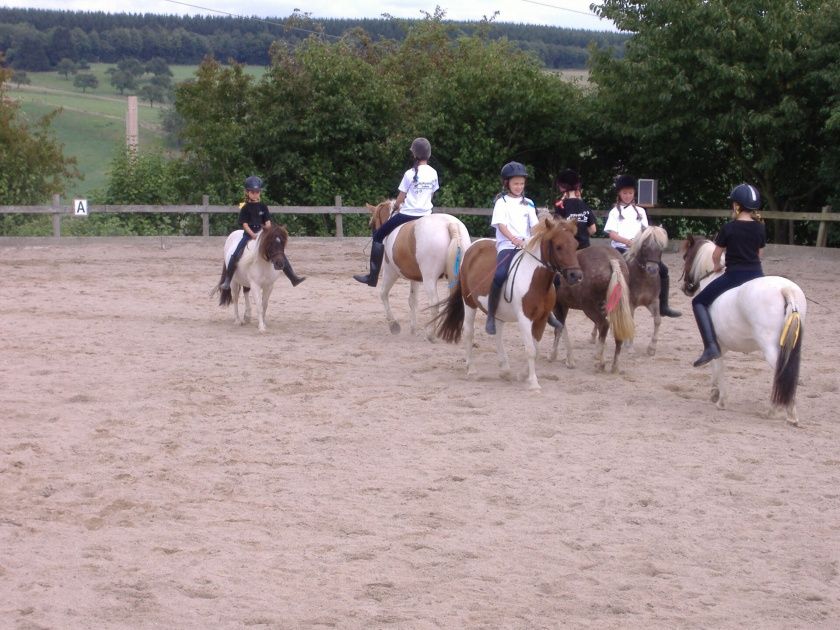 Reit- und Fahrstall Ponyhof Ludwig