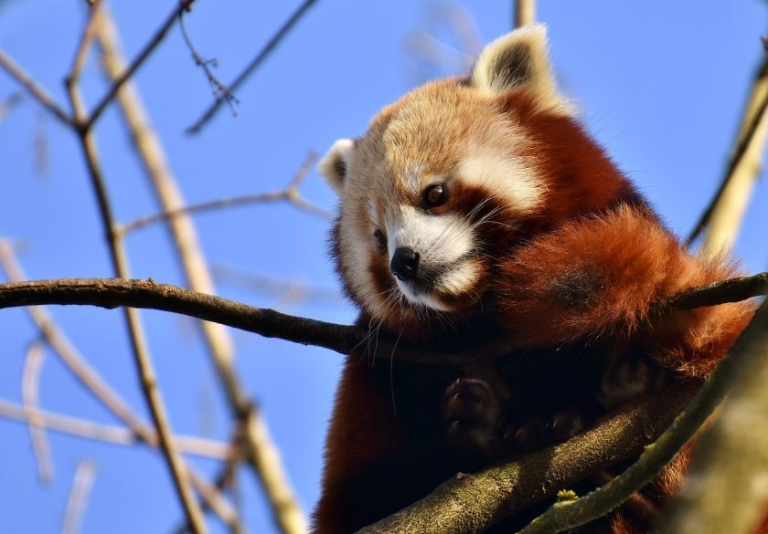 Tierpark Göppingen