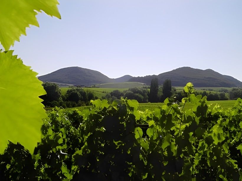 Ferienwohnungen & Weingut Becker - Heißbühlerhof