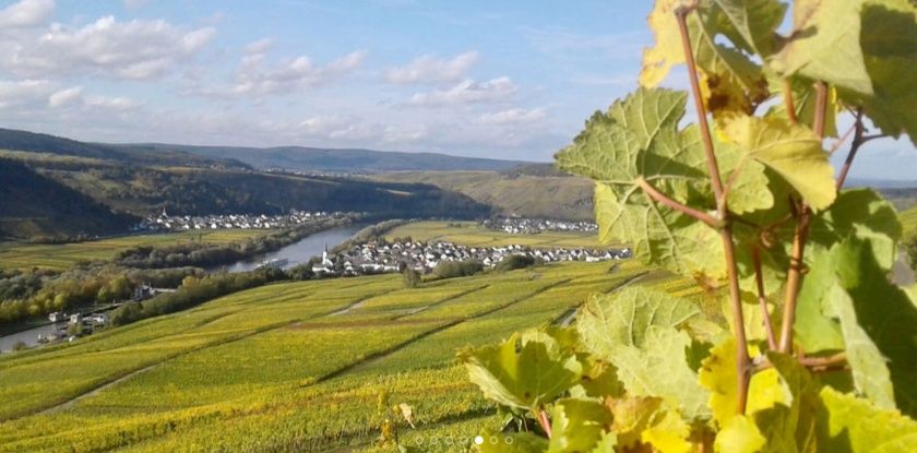 Weingut, Gästezimmer und Ferienwohnung Jörg Thul