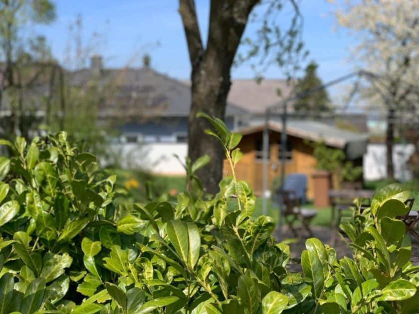 Ferienwohnungen Altes Zehnthaus Geierlay