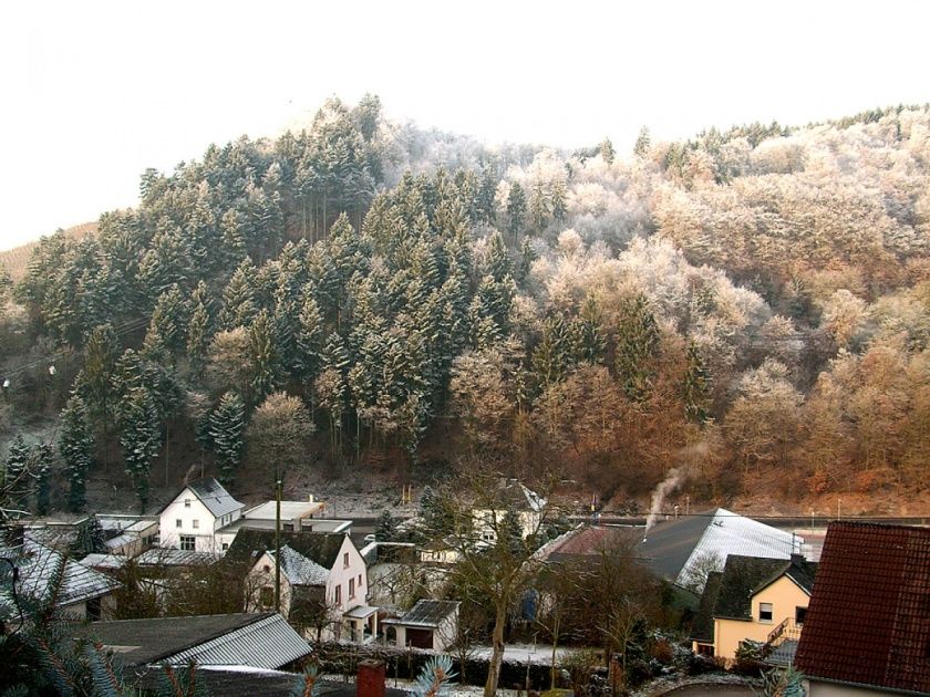 Ferienwohnung Zur Burg