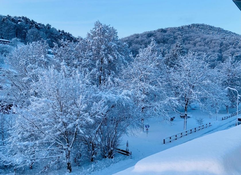 Kropsbachpark im Winter