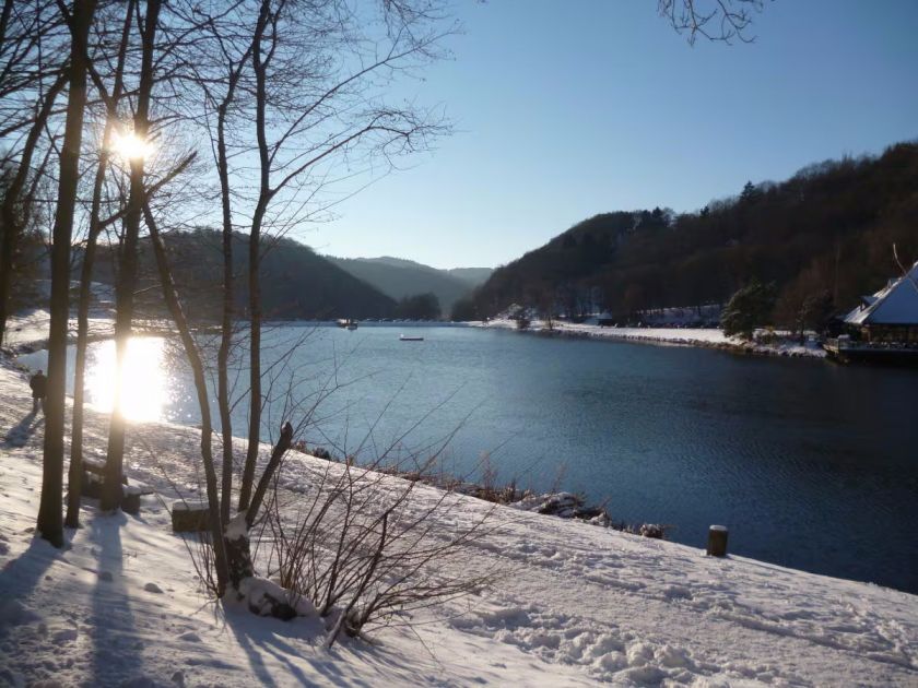 Ferienhaus Waldsee