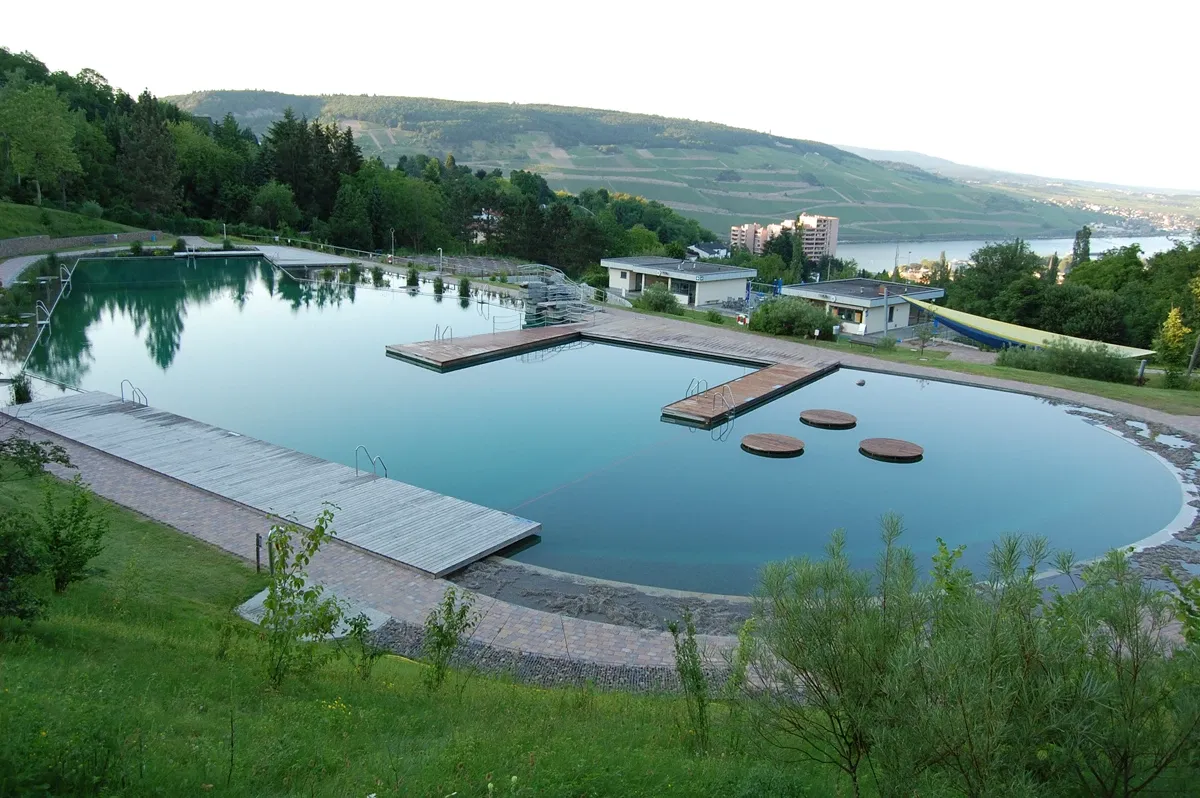 Blick ins Rheintal (Quelle: Dominik Tomaszewski)