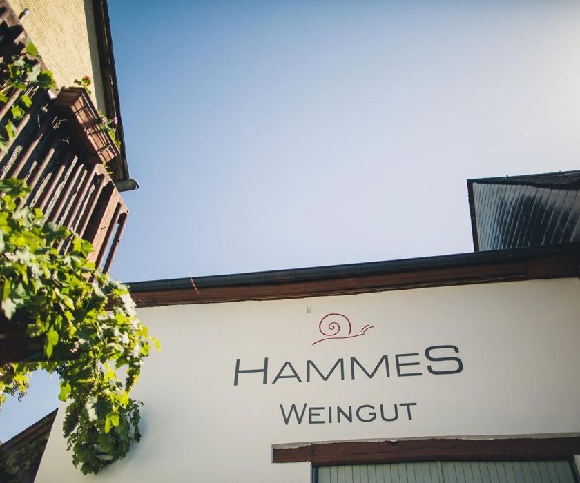 Ferienweingut Hammes