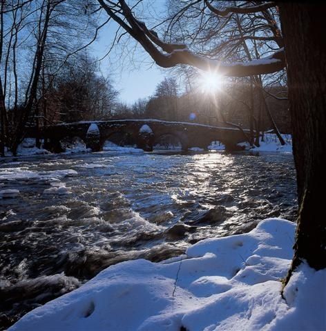 Winter im Westerwald