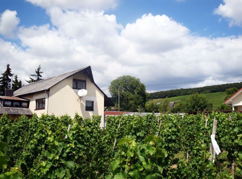 Weingut Winfried Winter