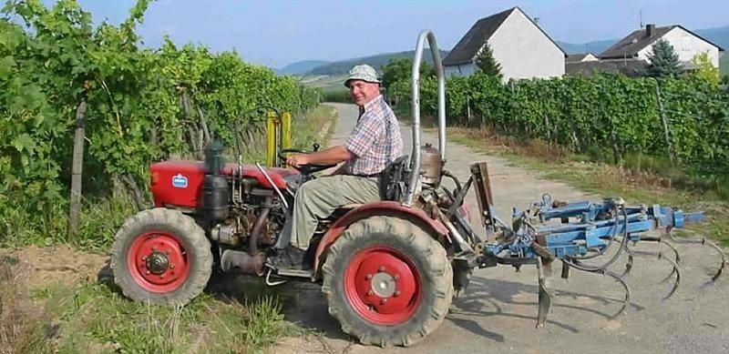 Weingut & Ferienwohnung Winfried Winter - Urlaub auf dem Winzerhof - Mittelmosel