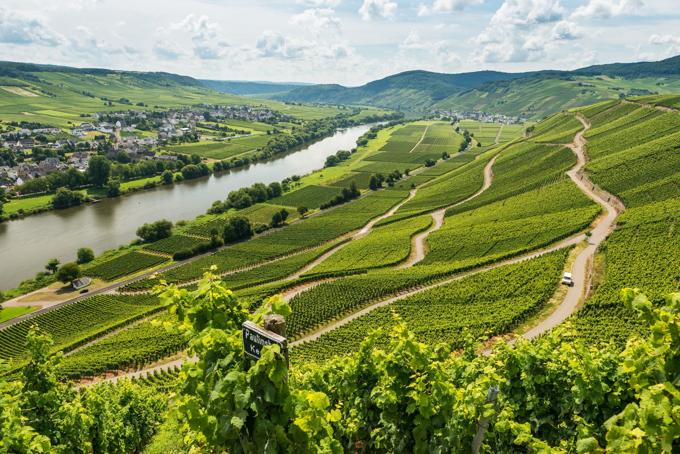 18.09.2020 - 20.09.2020 Wein-Straßenfest in der Nussbaumalleee