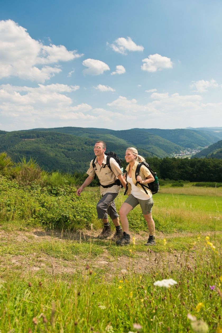 Ahrsteig Wanderweg