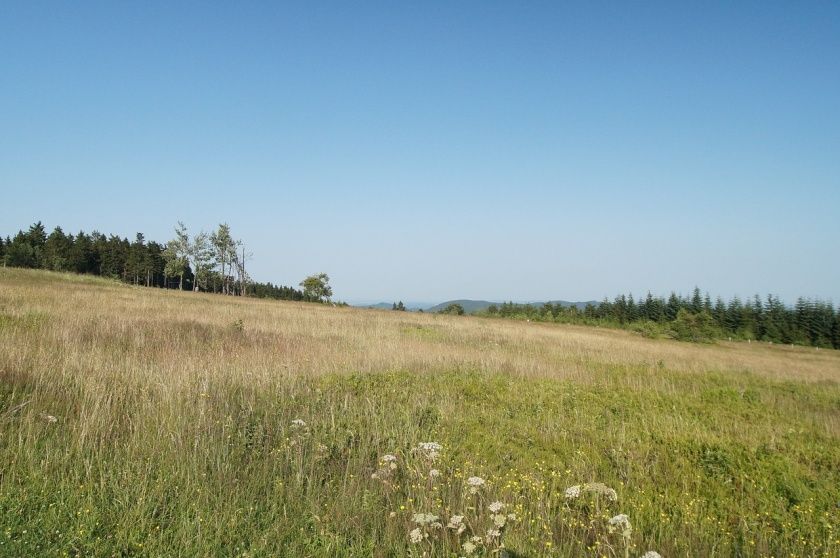 Goldener Pfad - Landschaftstherapiepfad