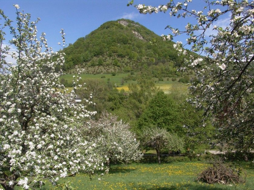 Löwenpfad Höhenrunde