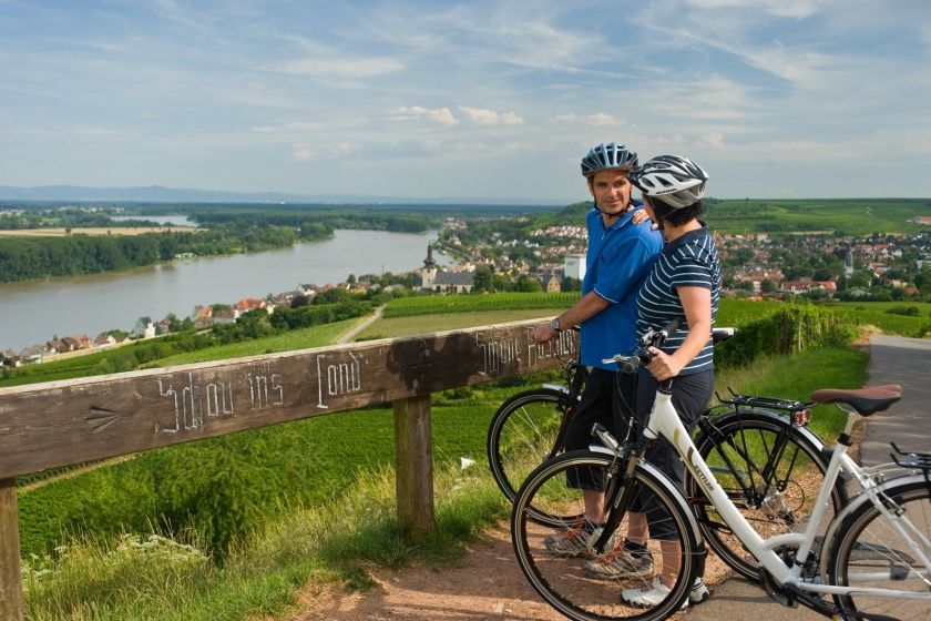 Rheinradweg in Rheinland-Pfalz